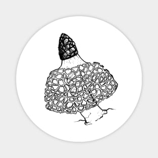 Bridal Veil Mushrooms Magnet